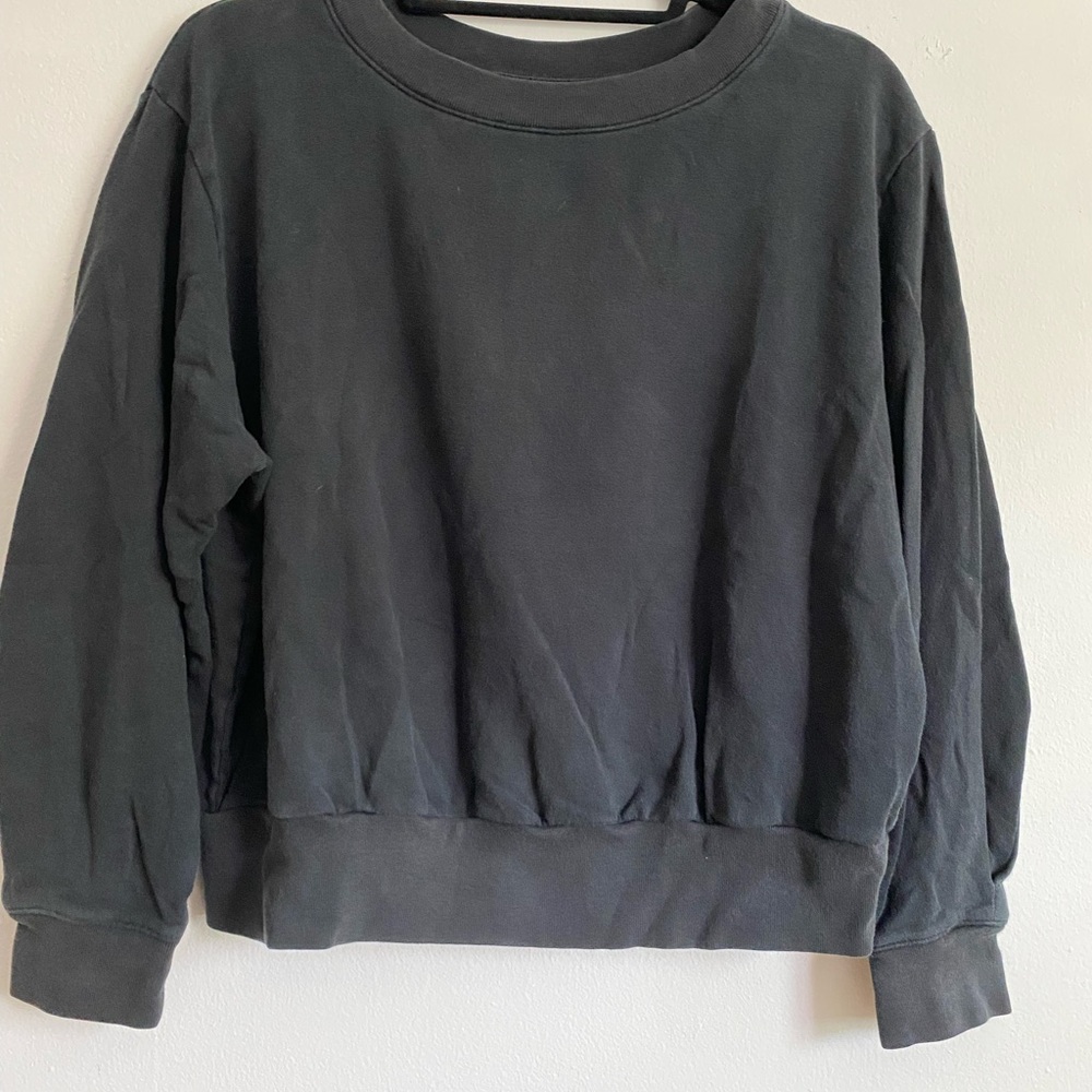 Everlane Cropped Sweatshirt